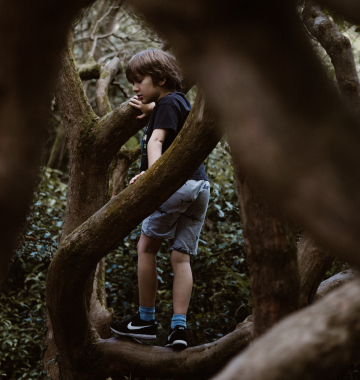 Boy in shorts on a tree